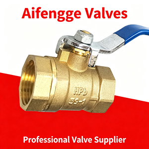 Vanne à boisseau sphérique monobloc en acier inoxydable SS304, filetage femelle NPT, pour coupure d'eau, résistante à la corrosion, étanche, avec levier, utilisation complète - Product Image 3