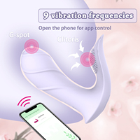 OEM & ODM Vagina-Klitoris-Stimulations-Höschen Vibrierendes Sex-Slip-Spielzeug mit Vibrator Masturbator Tragbares Sex-Spielzeug für Frauen