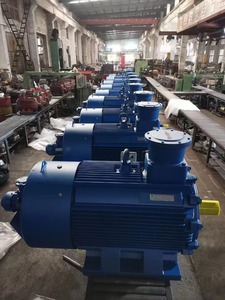 Motor Asíncrono de 30 KW, 1500 RPM, 55 mm, a Prueba de Explosiones, Motor de Corriente Alterna a Prueba de Explosiones YB200L1-4 HUAKE - Product Image 4