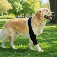 Attelle de coude unique PETSGUARD pour chien (ACL) – Soutien professionnel post-opératoire et protection articulaire pour la marche quotidienne et l'escalade des escaliers