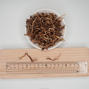 Nhà Máy bán hàng trực tiếp đóng băng khô Giun đất thức ăn vật nuôi cho cá tối ưu dinh dưỡng - Product Image 2