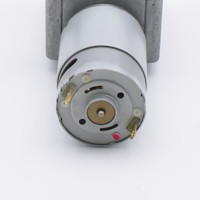 Boîte de vitesses à vis sans fin TYHE, fabricant, 12v 24v, faible puissance, 5w, couple élevé, 10kg, faible vitesse, 100 tr/min, micro moteur à vis sans fin à courant continu brossé RS395
