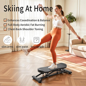 Planche d'exercice <span class=keywords><strong>cardio</strong></span> RS pour la taille, mini-entraîneur de fitness portable avec écran LCD, machine de ski d'équilibre corporel complet pour la maison et la salle de sport - Product Image 2
