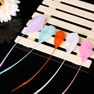 Plumas de Ganso Naturales de 14-20 cm/25 Piezas por Bolsa para Manualidades, Atrapasueños, Accesorios de Carnaval, Accesorios de Vestir - Product Image 6