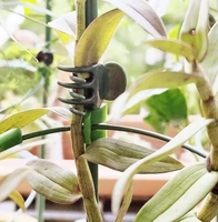 100 pièces pinces pour plantes de jardin Support en plastique pince à tige d'orchidée pour légumes de vigne fleur liée faisceau branche serrage outil de jardin