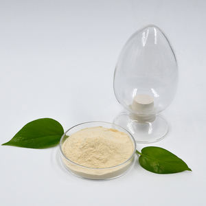 Retardateur 200 P pour les liants à base de gypse au sulfate de calcium pour les pansements auto-nivelants - Product Image 3