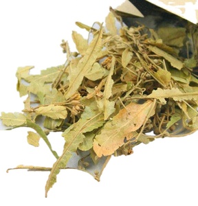 Té de Flores de <span class=keywords><strong>Tilo</strong></span> Secas Naturales, Flores de <span class=keywords><strong>Tilo</strong></span> Enteras - Product Image 1