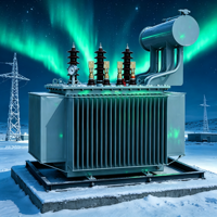 Transformateur immergé dans l'huile triphasé S11 250KVA, applications d'électrification industrielle et rurale, transformateur de puissance