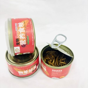 Suministro a Granel de <span class=keywords><strong>Gusanos</strong></span> de Harina Amarillos Congelados Frescos, Proteína de Insectos Natural Sin Aditivos, Alimento para Mascotas - Product Image 5