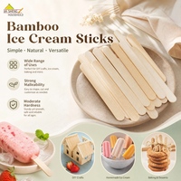 Bâtonnets de crème glacée en bambou naturel robustes, grande capacité, qualité alimentaire, sélection de bâtonnets de sucettes glacées durables