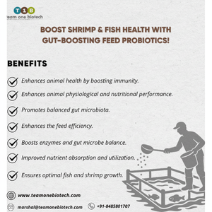 อาหารเสริมโปรไบโอติกสำหรับบ่อปลาผลิตภัณฑ์ลดของเสียได้อย่างมีประสิทธิภาพ - Product Image 1