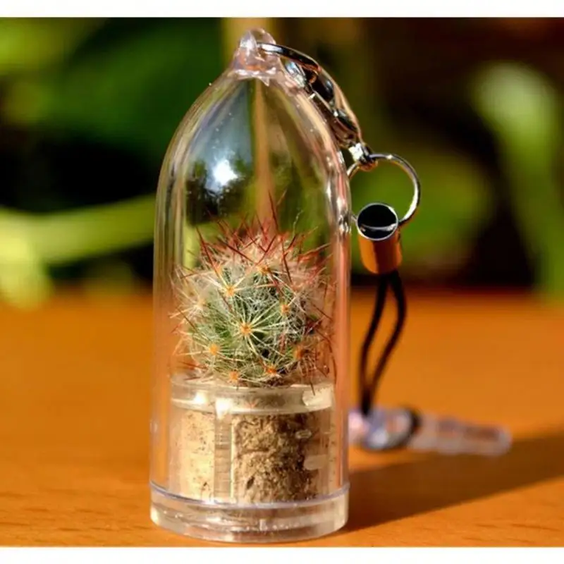 Забавный рекламный мини-брелок для ключей с изображением живых растений 2023