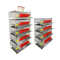Cage à Cailles Commerciale Type H Durable pour la Gestion Moderne de la Volaille en Ferme – Cages Écologiques pour la Production d'Œufs