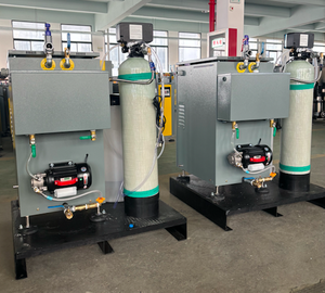 Generador de Vapor Eléctrico Vertical Industrial de Alta Eficiencia de 36KW para Procesamiento de Alimentos y Enlatado, Marca Future, Sudeste Asiático - Product Image 4