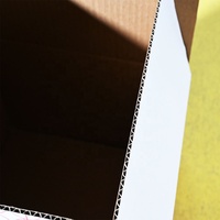 Boîtes d'emballage personnalisées en carton ondulé pour boissons (vodka, etc.) – Conformes RoHS, FSC, ISO22000 – Pour 12 ou 24 bouteilles