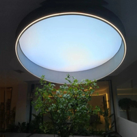 Bleu marine plafonnier lumière du soleil décoration salle de bain lucarne Faux dynamique bleu ciel Led fenêtre simulateur panneau applique murale
