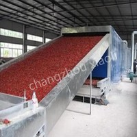 Industriële meerlaagse gaasbanddroger met gasverwarming, SUS304 materiaal, multifunctioneel voor fruit, groenten en vis.