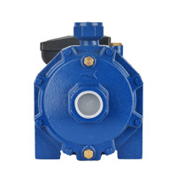 Pompe à eau de surface Turbine Vortex en cuivre pour l'approvisionnement en eau de l'industrie de l'élevage