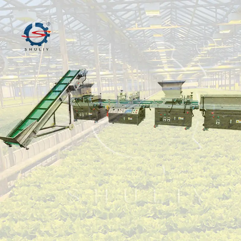 温室野菜苗床機械全自動トレイ苗機野菜種子植物機械