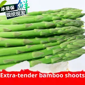 Espárragos blancos recién cavados con <span class=keywords><strong>brotes</strong></span> <span class=keywords><strong>de</strong></span> bambú verde Spring Dragon Whisker Vegetal con raíces blancas eliminadas <span class=keywords><strong>de</strong></span> verduras secas - Product Image 4