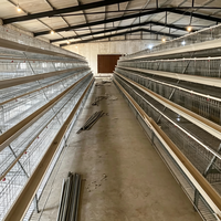 Cage à poulets commerciale, équipement d'élevage avicole en batterie pour poules pondeuses, poulailler pour 96 à 500 poulets