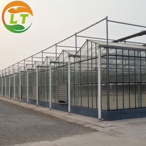 Теплица продает теплицу, томатный теплица - Product Image 6