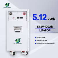 Système de stockage d'énergie solaire photovoltaïque 5kWh 10kWh 15kWh LiFePO4 51.2V mural avec BMS CE pour le stockage d'énergie domestique