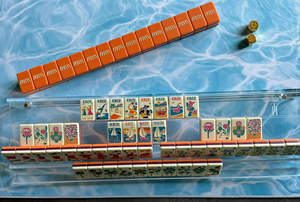 Matériel acrylique - Ensemble de jeu élégant - Ensemble de luxe gravé adapté - Tuiles de Mahjong américaines pour divertissements adultes - Product Image 5