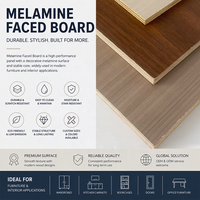 Panneau stratifié mélaminé 4x8 1220x2440mm, imperméable, pour la fabrication d'armoires, de placards et de meubles
