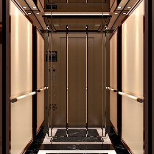 Ascensor <span class=keywords><strong>de</strong></span> Tracción <span class=keywords><strong>Especial</strong></span> para Hoteles Cinco Estrellas, Acero Inoxidable 304, Experiencia <span class=keywords><strong>de</strong></span> Conducción Cómoda, Sistema <span class=keywords><strong>de</strong></span> Monitoreo <span class=keywords><strong>de</strong></span> Seguridad Profesional - Product Image 2