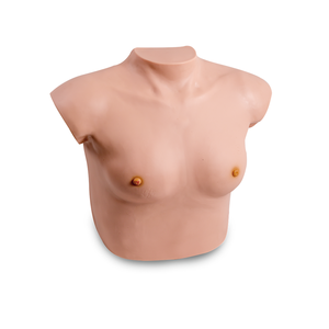Модель осмотра груди GD/F7C, медицинская модель, модель груди для преподавания - Product Image 1