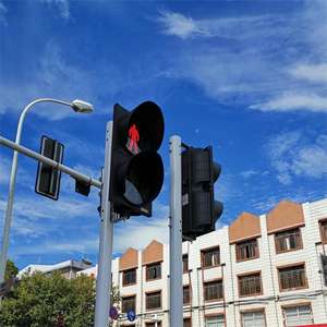 メーカー200mm/300mm赤緑黄LED歩行者信号灯12-24vdc 220vセット交通信号灯カウントダウンタイマー付き - Product Image 4