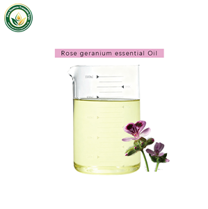 Aceite Esencial de Geranio Rosa 100% Puro y Natural Orgánico al Por Mayor a Precio de Mayoreo <span class=keywords><strong>para</strong></span> el Cuidado de <span class=keywords><strong>la</strong></span> Piel - Product Image 2