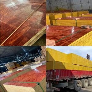 12 ~ 18mm ván ép bê tông chống thấm nước 15mm 2440mm * 1220mm bạch đàn hiện đại bạch đàn Phenolic Melamine để sử dụng ngoài trời - Product Image 2