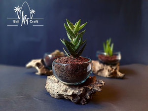 Terrário Aquário Decorativo Moderno Ecológico de Fibra de Vidro Fundido com Efeito de Madeira Flutuante, em Formato de Garrafa Semiaberta, para Plantas, Suprimentos para Atacado - Product Image 3