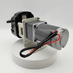 Peristaltic Pump China CR Chlorine Dosing Peristaltic Pump 12V Liquid Transfer Pump