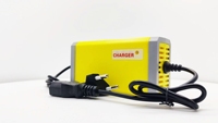 Tondeuse à gazon chargeur de batterie 12v/24v lifepo4 chargeur acide plomb chargeur de batterie 24v