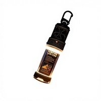 Lampe LED de camping extérieure, chauffe-moustiquaire électrique, éclairage étanche, support multifonctionnel portable pour tente