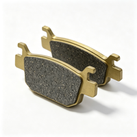 Plaquettes de frein à disque arrière pour moto Benelli TNT300 BJ300GS BN300 BJ250 TNT302, plaque de friction de remplacement