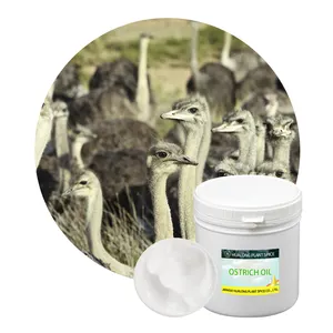 Organic Ostrich Oil Manufacturer Wholesale 1Kg Struthio Camelus Fat Oil African Ostrich Pure Oil For Pain Relief White Cream