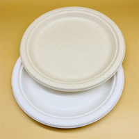 Assiette en papier jetable Sandwich Bagasse Pâte à papier Assiette et vaisselle Assiette ronde en papier pour gâteau