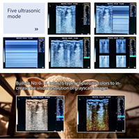 RS-A20 Portable Vétérinaire Échographie Rectale Linéaire Sonde Vache Cheval Machine À Ultrasons Bovin Échographie Grossesse Diagnostic