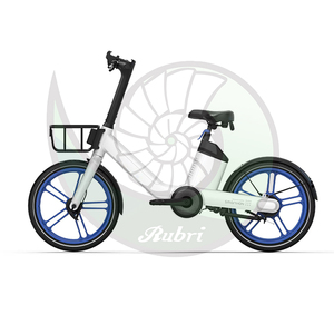 Cilindro de Hidrógeno con Capacidad de 0.39L para Bicicleta Rubri-H-Bike 200 - Product Image 6