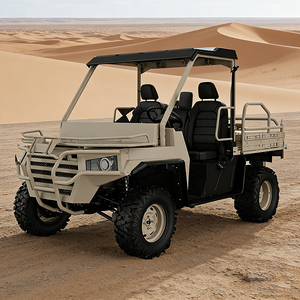 Véhicule utilitaire tout-terrain (UTV) 1000cc à essence, idéal pour l'agriculture, avec treuil – Offre spéciale - Product Image 4