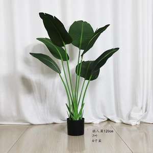 Plantas Artificiales para el Hogar AF7002, Planta de Viajero de Palma, Ave del Paraíso, Bonsái, Ave del Cielo, <span class=keywords><strong>Ravenala</strong></span> Artificial - Product Image 6