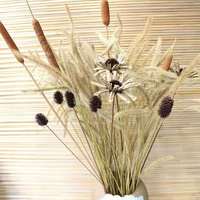 Fleur de Cattail Préservée 60cm Décoration Maison Saint-Valentin Fête des Mères Halloween Pâques Remise de Diplôme Nouvel An Yunnan Chine