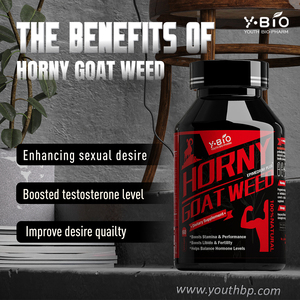 Schnell Wirkender Energiebooster Epimedium-Kapseln Natürlicher Männlicher Leistungsverstärker mit Ginseng-Extrakt Großhandel Lagerbestand Dropshipping-Unterstützung - Product Image 2