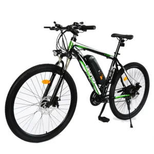 Bicicleta eléctrica de montaña personalizada de alta calidad, 36V/48V, 250W/350W/500W