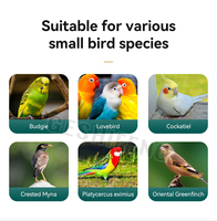 Cage à oiseaux en fil métallique légère et mobile de style moderne pour l'intérieur et l'extérieur avec accessoires