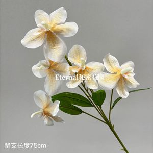 Orchidée artificielle Secret Garden, 5 têtes, Vanda, fleur en soie plastique, décoration de mariage, accessoire de photographie - Product Image 2